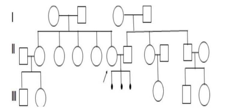 Journal of family mediciene-Recurrent pregnancy loss