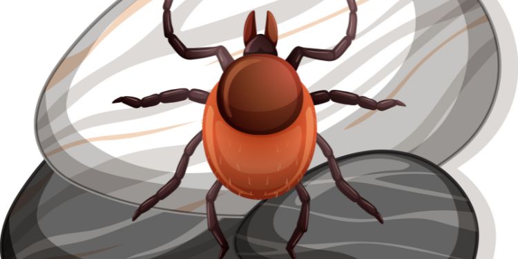 Journal of Parasite Research - Cattle Tick Infestations