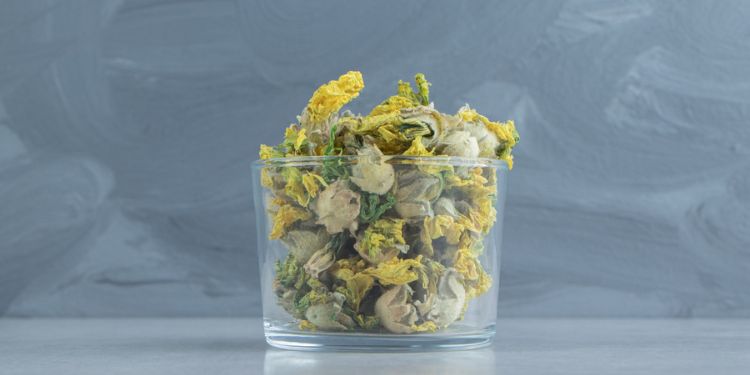 Journal of Agronomy Research - Pollination