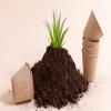 Journal of Agronomy Research - Organic Fertilizers