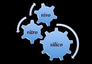 In-vitro In-vivo In-silico